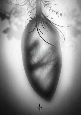 Me quedado encerrada en mi crisálida