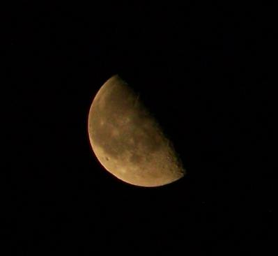 Amo tanto la sencillez de las cosas